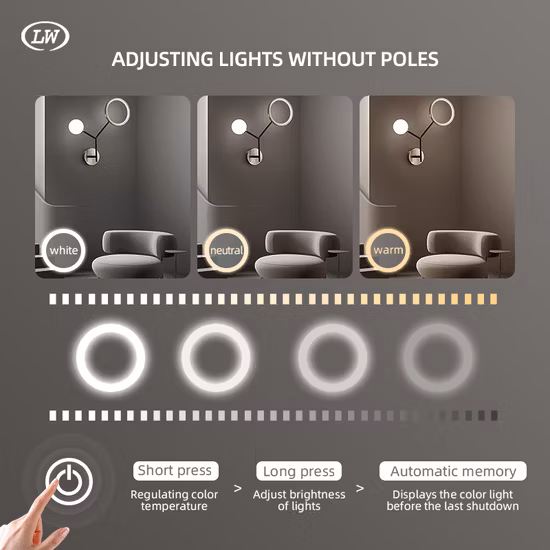 Miroir ovale de bain de mur de lumière LED de vanité de cadre d'alliage d'aluminium noir d'or de vente chaude